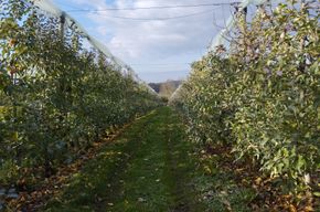 090ffc4a-3555-4fb1-8ae5-002c5fe4da65