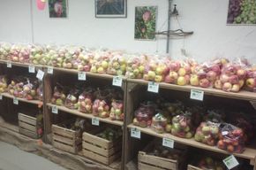 30bd4caa-af69-4cbe-a4c8-405ec845e5b2